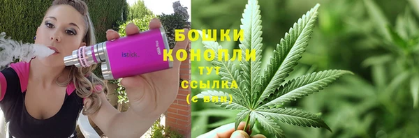 стафф Богородицк